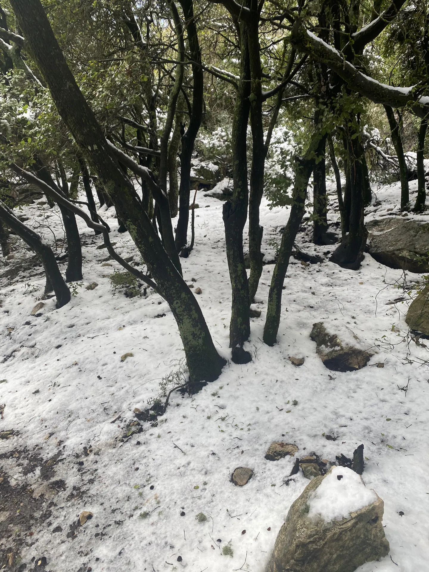 פעילויות באזור — תמונה 1