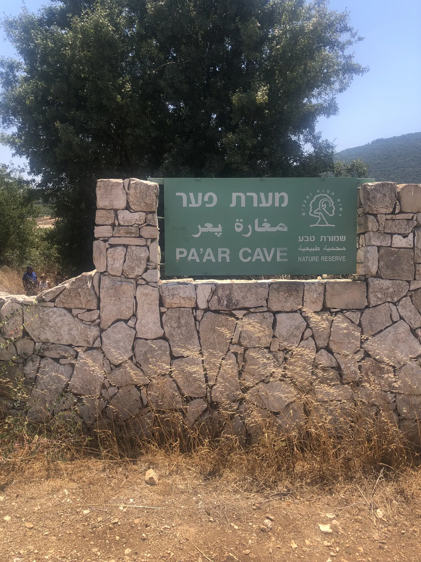 פעילויות באזור — תמונה 3