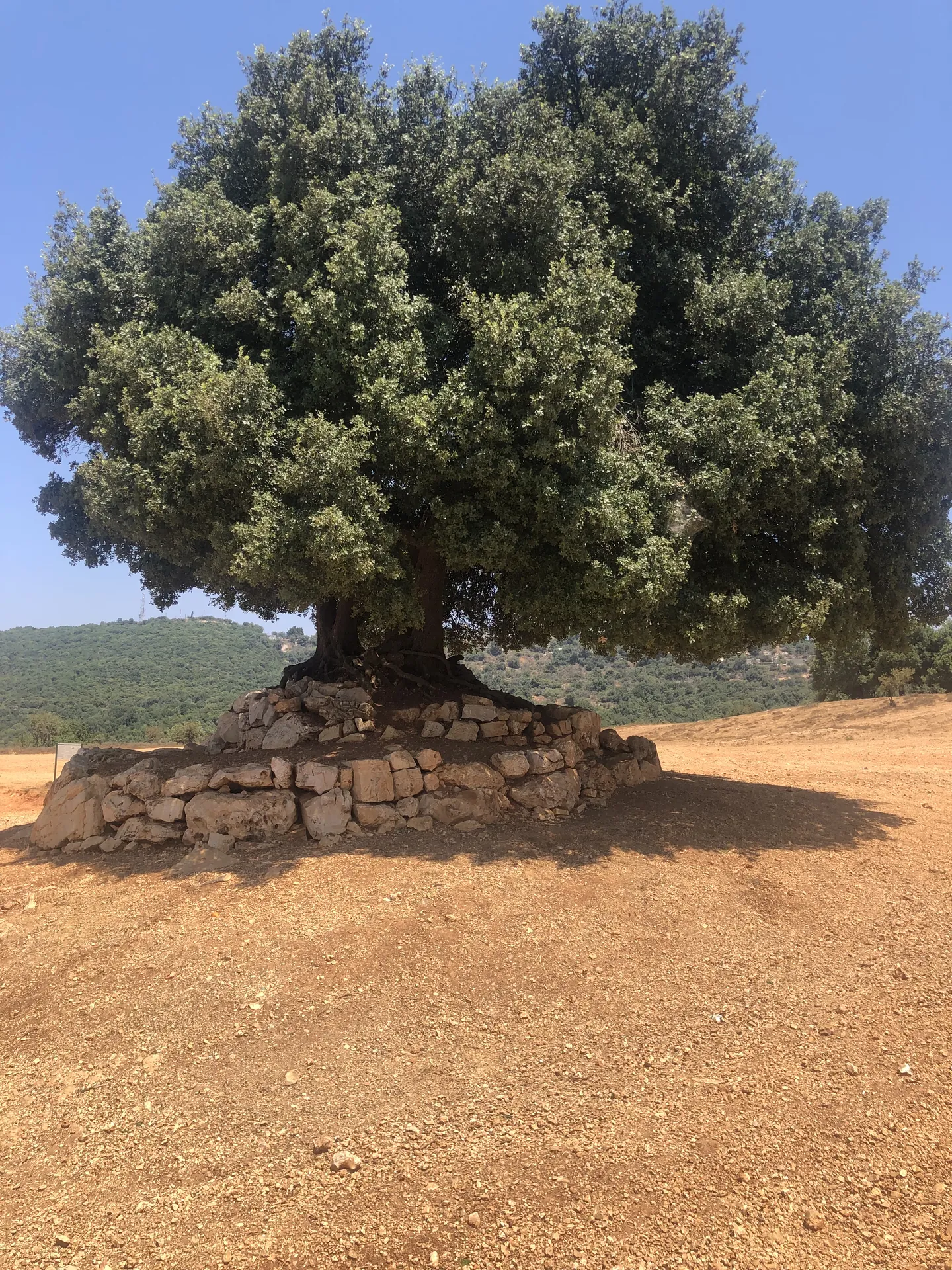 פעילויות באזור — תמונה 4