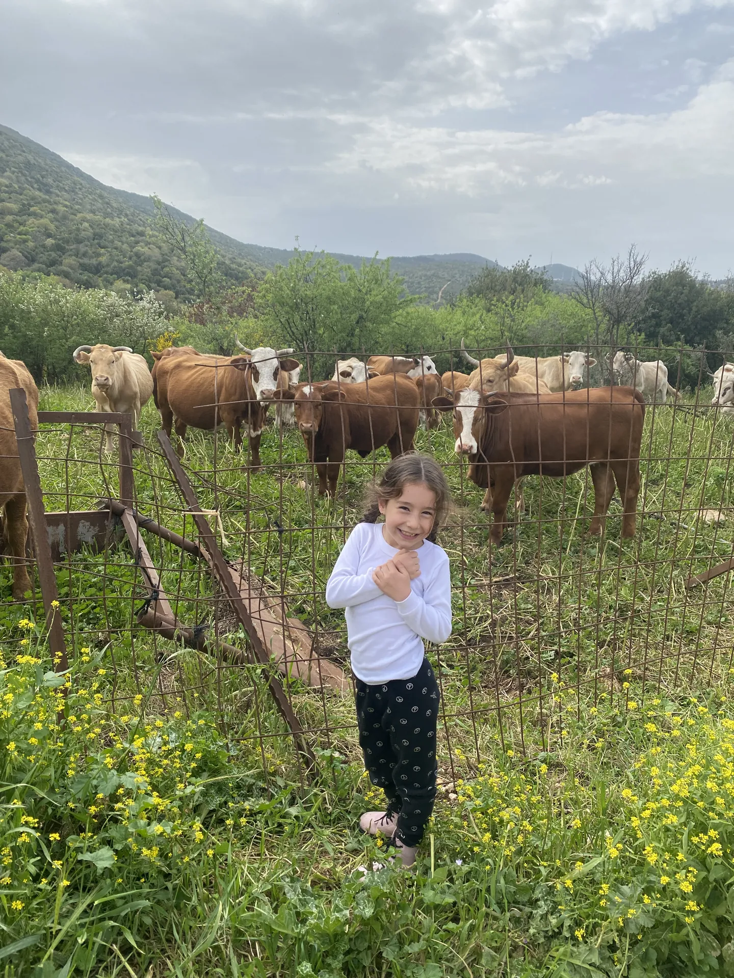 פעילויות באזור — תמונה 7