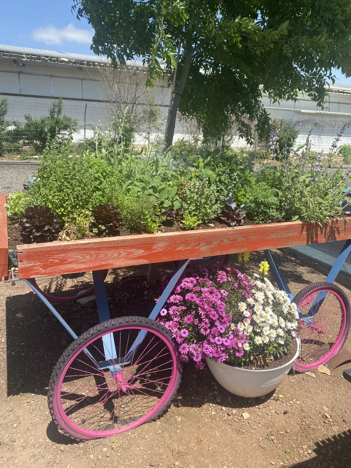 הפארק — תמונה 3